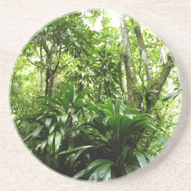 Dominican Rain Forest I Tropical Green Nature Coaster (Front)