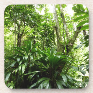 Dominican Rain Forest I Tropical Green Nature Drink Coaster