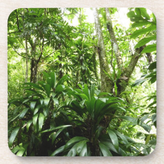 Dominican Rain Forest I Tropical Green Nature Drink Coaster