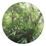 Dominican Rain Forest I Tropical Green Nature Eraser