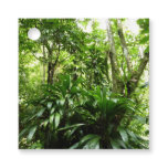 Dominican Rain Forest I Tropical Green Nature Favor Tags
