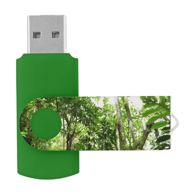 Dominican Rain Forest I Tropical Green Nature Flash Drive (Opened)