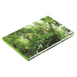 Dominican Rain Forest I Tropical Green Nature Guest Book