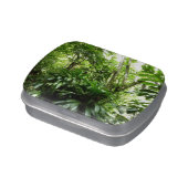 Dominican Rain Forest I Tropical Green Nature Jelly Belly Candy Tin (Side)