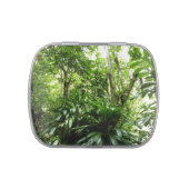 Dominican Rain Forest I Tropical Green Nature Jelly Belly Candy Tin (Top)
