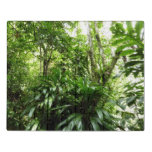 Dominican Rain Forest I Tropical Green Nature Jigsaw Puzzle