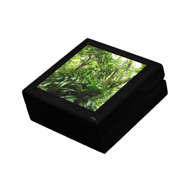 Dominican Rain Forest I Tropical Green Nature Keepsake Box (Side)