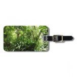 Dominican Rain Forest I Tropical Green Nature Luggage Tag
