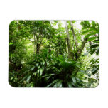 Dominican Rain Forest I Tropical Green Nature Magnet