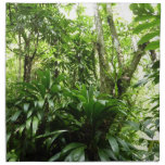 Dominican Rain Forest I Tropical Green Nature Napkin
