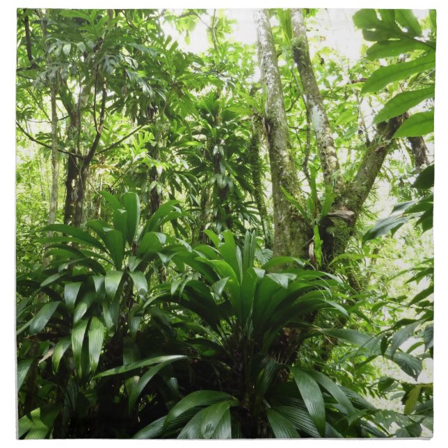 Dominican Rain Forest I Tropical Green Nature Napkin (Front)