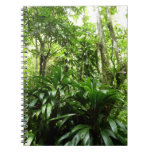 Dominican Rain Forest I Tropical Green Nature Notebook