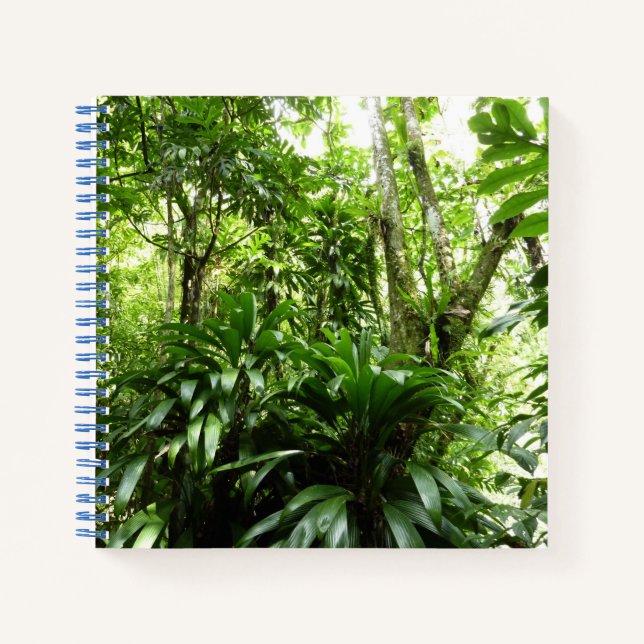 Dominican Rain Forest I Tropical Green Nature Notebook (Front)