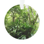 Dominican Rain Forest I Tropical Green Nature Ornament