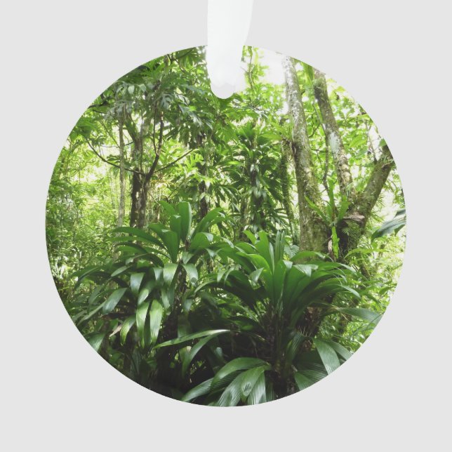 Dominican Rain Forest I Tropical Green Nature Ornament (Front)