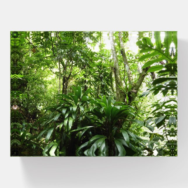 Dominican Rain Forest I Tropical Green Nature Paperweight (Front)