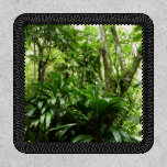 Dominican Rain Forest I Tropical Green Nature Patch