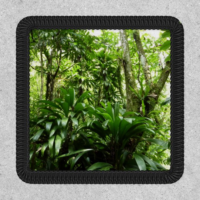 Dominican Rain Forest I Tropical Green Nature Patch (Front)