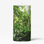 Dominican Rain Forest I Tropical Green Nature Pillar Candle