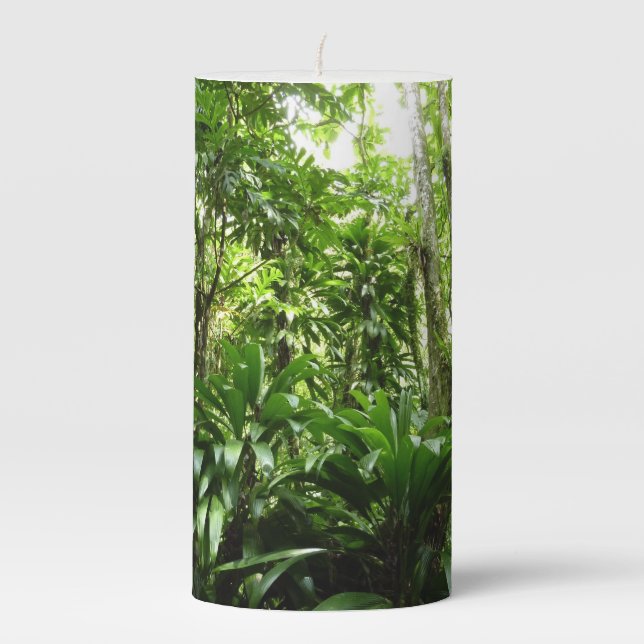 Dominican Rain Forest I Tropical Green Nature Pillar Candle (Front)
