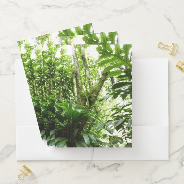 Dominican Rain Forest I Tropical Green Nature Pocket Folder (In Situ)