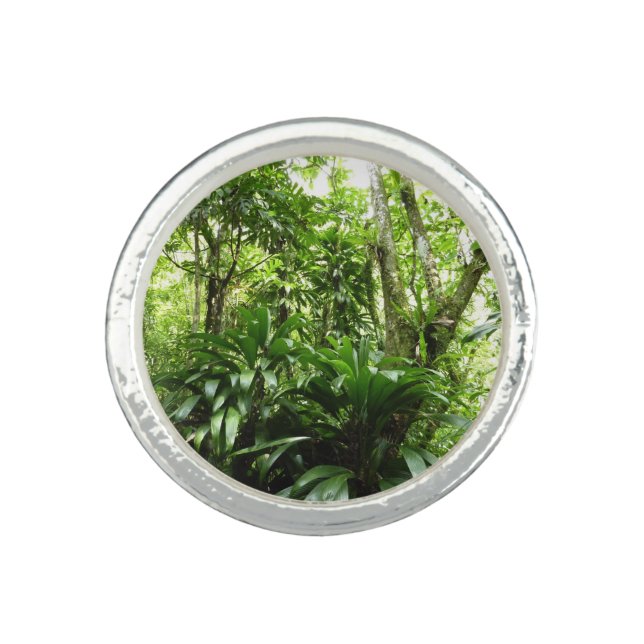 Dominican Rain Forest I Tropical Green Nature Ring (Front)