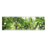 Dominican Rain Forest I Tropical Green Nature Ruler