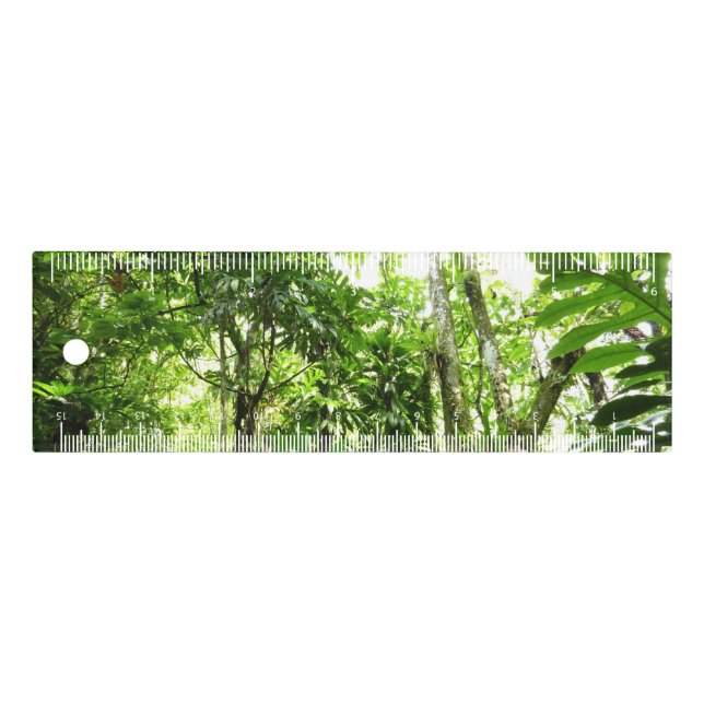 Dominican Rain Forest I Tropical Green Nature Ruler (Front)