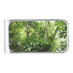 Dominican Rain Forest I Tropical Green Nature Silver Finish Money Clip