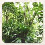 Dominican Rain Forest I Tropical Green Nature Square Paper Coaster