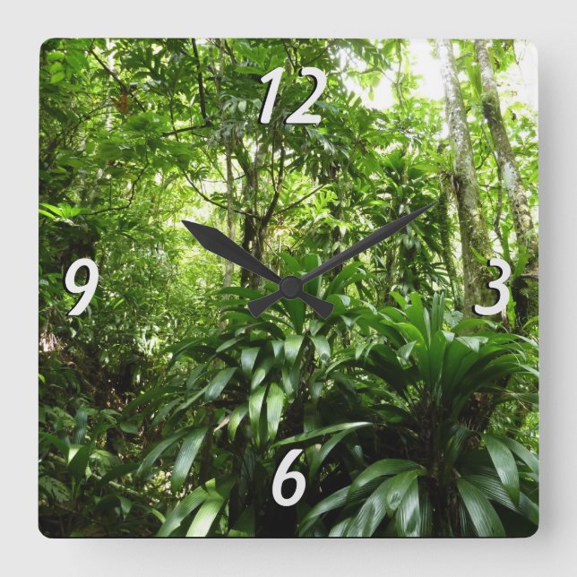 Dominican Rain Forest I Tropical Green Nature Square Wall Clock (Front)