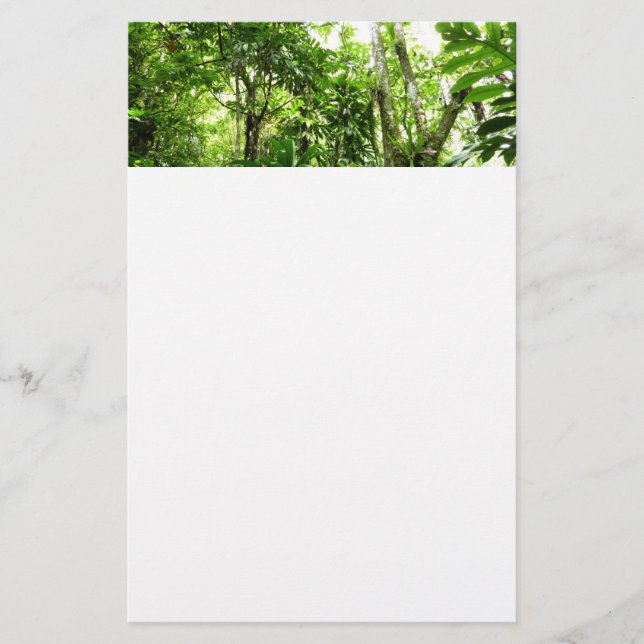 Dominican Rain Forest I Tropical Green Nature Stationery (Front)