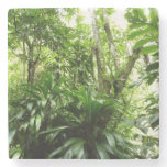 Dominican Rain Forest I Tropical Green Nature Stone Coaster