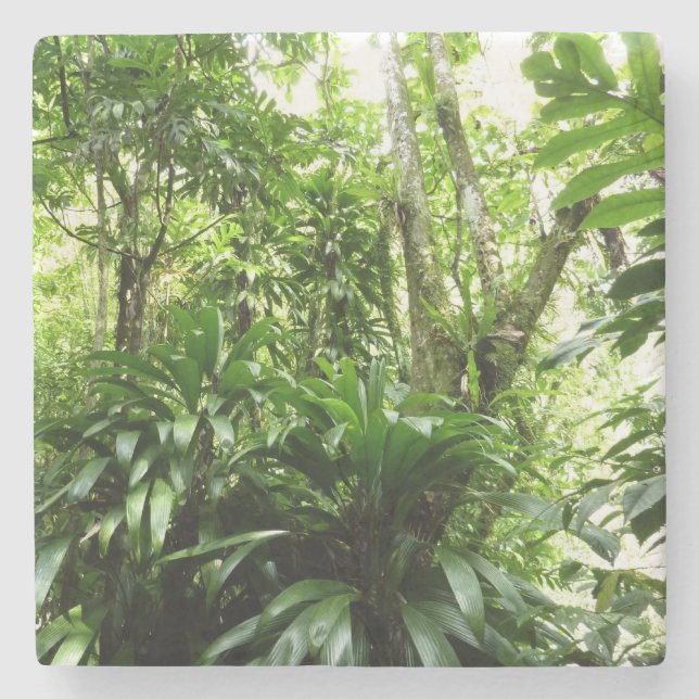 Dominican Rain Forest I Tropical Green Nature Stone Coaster (Front)