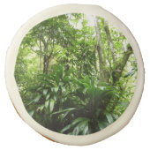 Dominican Rain Forest I Tropical Green Nature Sugar Cookie (Front)