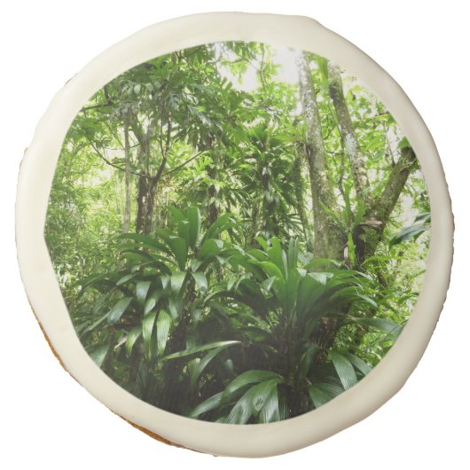 Dominican Rain Forest I Tropical Green Nature Sugar Cookie (Front)