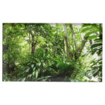 Dominican Rain Forest I Tropical Green Nature Table Number Holder
