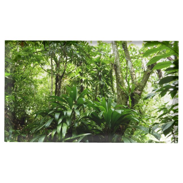 Dominican Rain Forest I Tropical Green Nature Table Number Holder (Front)