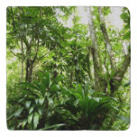Dominican Rain Forest I Tropical Green Nature Trivet