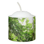 Dominican Rain Forest I Tropical Green Nature Votive Candle