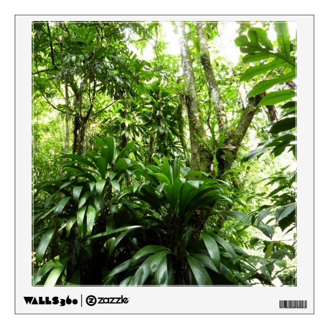 Dominican Rain Forest I Tropical Green Nature Wall Decal (Front)