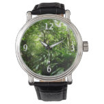 Dominican Rain Forest I Tropical Green Nature Watch