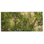 Dominican Rain Forest I Tropical Green Nature Wood Flash Drive