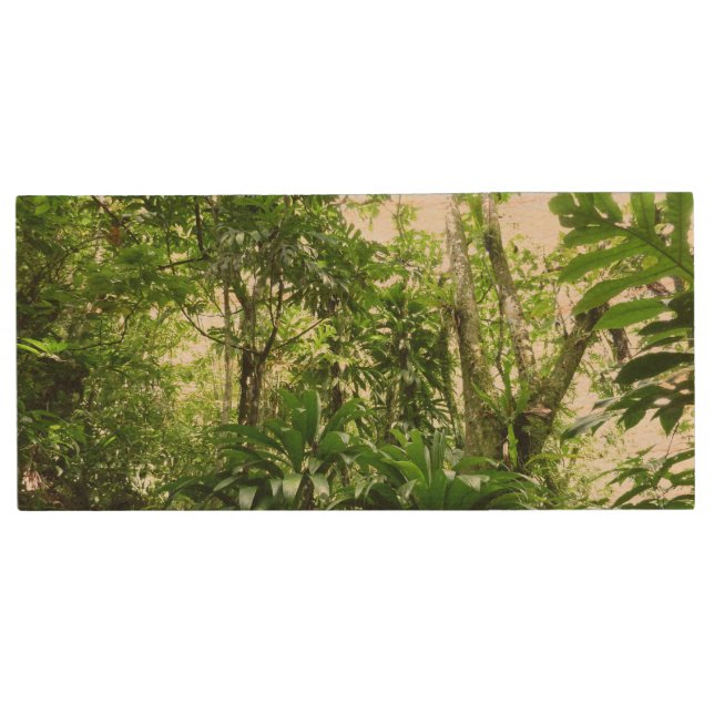Dominican Rain Forest I Tropical Green Nature Wood Flash Drive (Front)