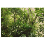 Dominican Rain Forest I Tropical Green Nature Wood Poster