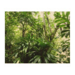 Dominican Rain Forest I Tropical Green Nature Wood Wall Art