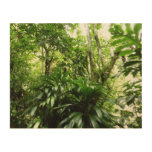 Dominican Rain Forest I Tropical Green Nature Wood Wall Decor