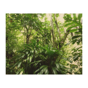 Dominican Rain Forest I Tropical Green Nature Wood Wall Decor