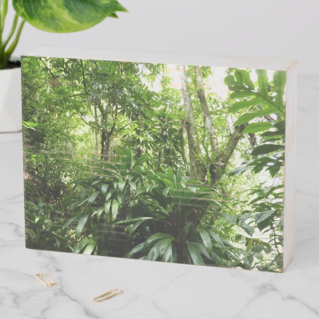 Dominican Rain Forest I Tropical Green Nature Wooden Box Sign (In Situ Horizontal)