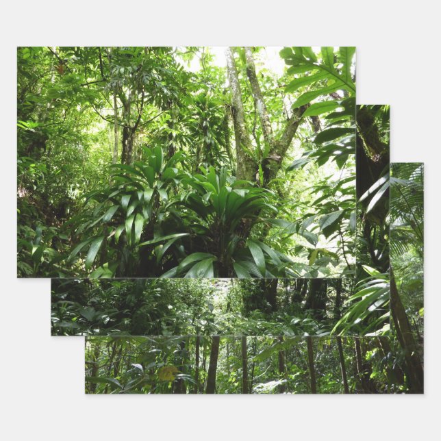 Dominican Rain Forest I Tropical Green Nature Wrapping Paper Sheets (Set)